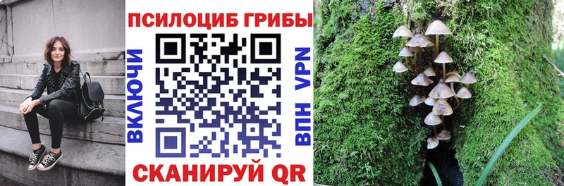 Галлюциногенные грибы MAGIC MUSHROOMS Ленск